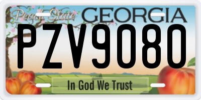 GA license plate PZV9080