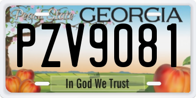 GA license plate PZV9081