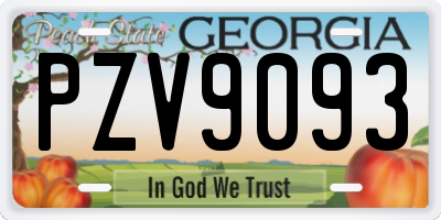 GA license plate PZV9093