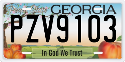 GA license plate PZV9103