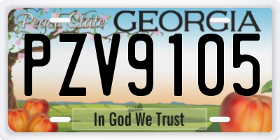 GA license plate PZV9105