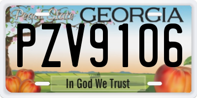 GA license plate PZV9106