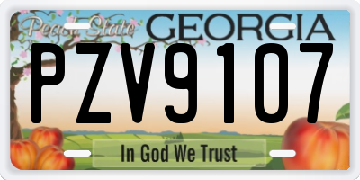 GA license plate PZV9107