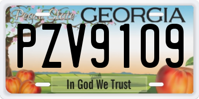 GA license plate PZV9109