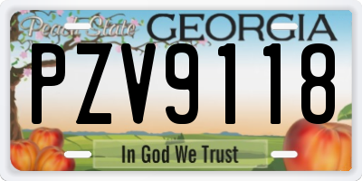 GA license plate PZV9118