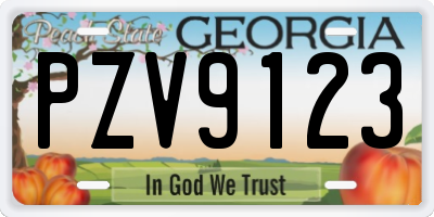 GA license plate PZV9123