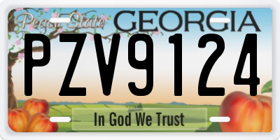 GA license plate PZV9124