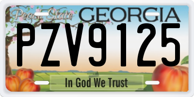 GA license plate PZV9125