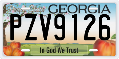 GA license plate PZV9126