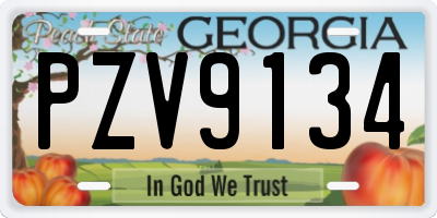 GA license plate PZV9134