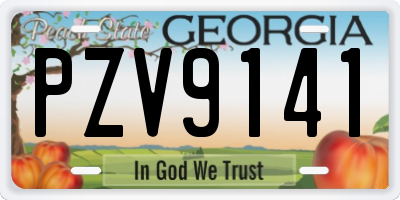 GA license plate PZV9141