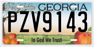 GA license plate PZV9143