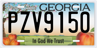GA license plate PZV9150
