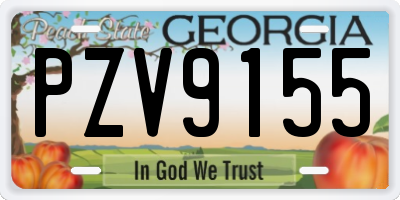GA license plate PZV9155