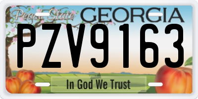 GA license plate PZV9163