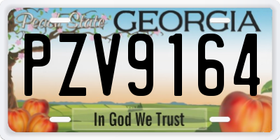 GA license plate PZV9164