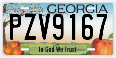 GA license plate PZV9167