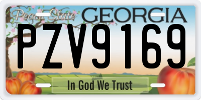 GA license plate PZV9169