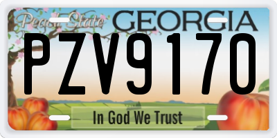 GA license plate PZV9170