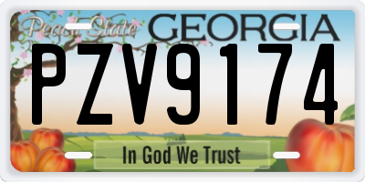 GA license plate PZV9174
