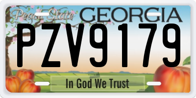 GA license plate PZV9179