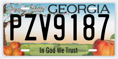 GA license plate PZV9187