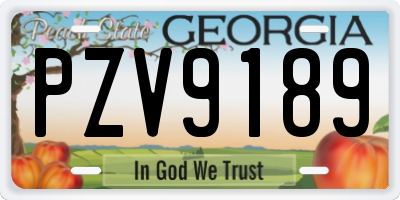 GA license plate PZV9189