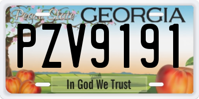 GA license plate PZV9191
