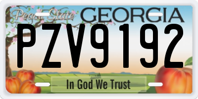 GA license plate PZV9192