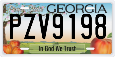 GA license plate PZV9198