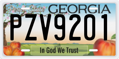 GA license plate PZV9201