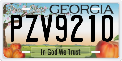 GA license plate PZV9210