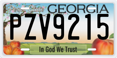 GA license plate PZV9215