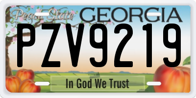 GA license plate PZV9219