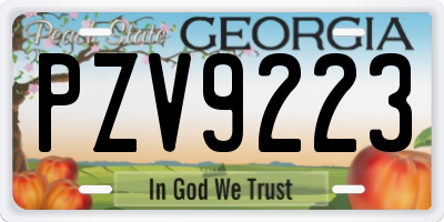 GA license plate PZV9223