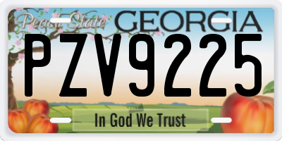 GA license plate PZV9225