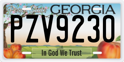 GA license plate PZV9230