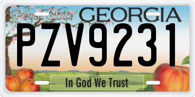GA license plate PZV9231