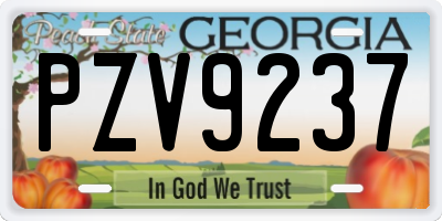 GA license plate PZV9237