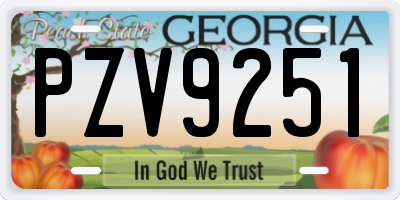 GA license plate PZV9251