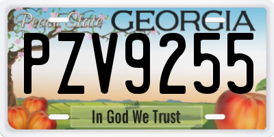 GA license plate PZV9255