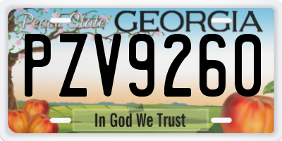 GA license plate PZV9260