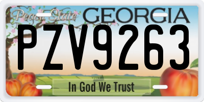 GA license plate PZV9263