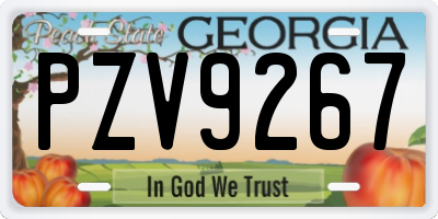GA license plate PZV9267