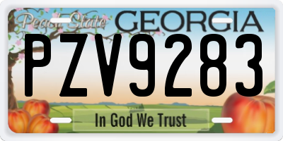 GA license plate PZV9283