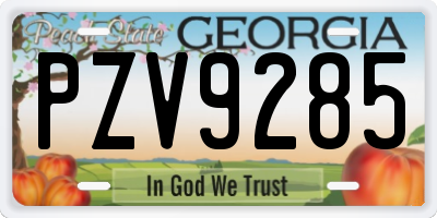 GA license plate PZV9285