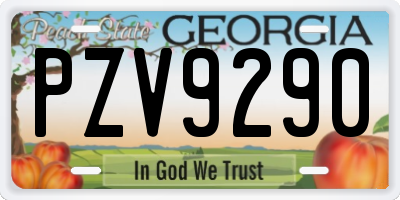 GA license plate PZV9290