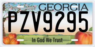 GA license plate PZV9295