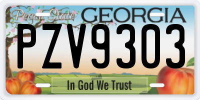 GA license plate PZV9303