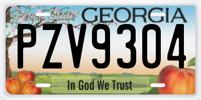 GA license plate PZV9304